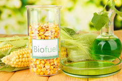 Houston biofuel availability